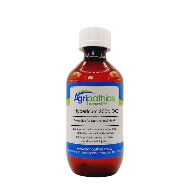 Hypericum 200c DC