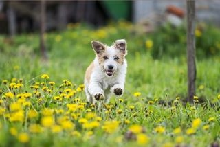 Spring is here!